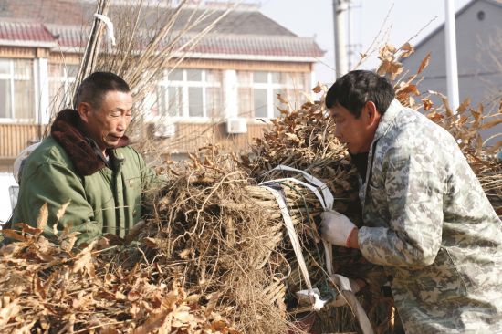 711e3845-2399-491c-b771-0e1dd60b54dc