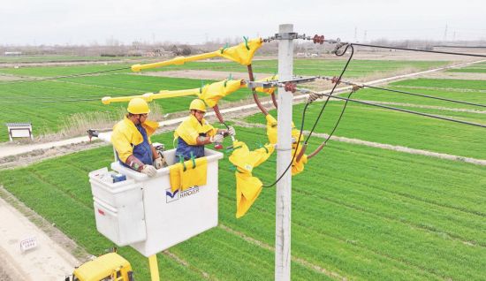 54fd5411-4462-4333-842e-1bdf12df88a3