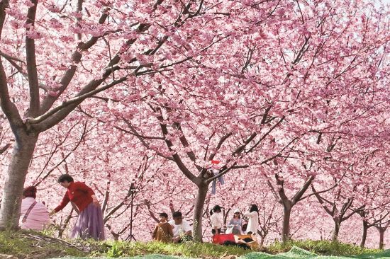 19714e58-5735-46d5-bb14-84f41e4e2465