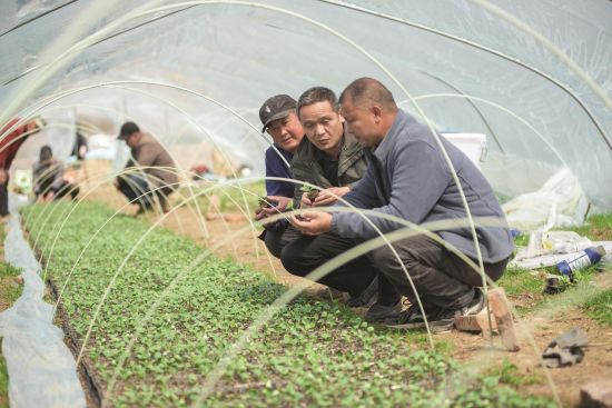 af1fb137-2200-47e7-91b8-c81f6d07af9a