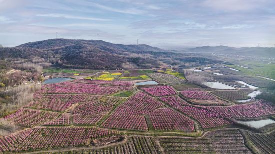 b9b6087c-1c55-44fc-a953-89d27e355ebb