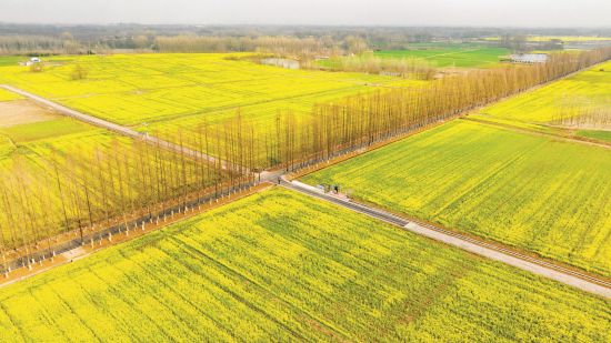 a649c8d4-8d4e-418a-8d0e-78869dbcad73