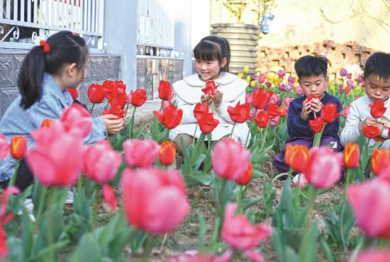 c79ad83d-ac27-4141-a498-d870bda3ea12