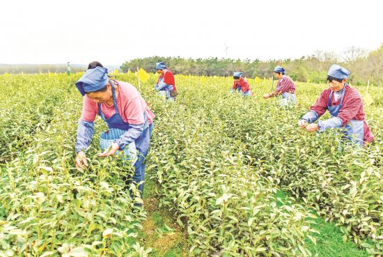 0872a4e3-2d62-4d2e-8e9c-a1b1777b4b61