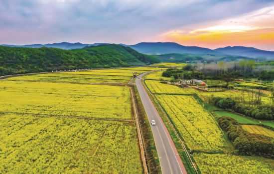 1ba97e49-a7d9-4743-86e0-7b11e8d30e44