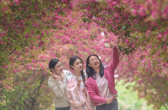 26ccb50d-7577-4172-aa7a-ec2fafeb3010