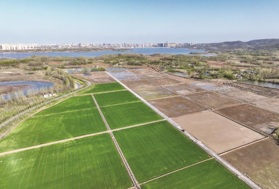 4f3a1a5a-3db5-42c0-8216-f1f2eb094342