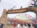 来安红岭第二届樱花谷文化旅游节开幕
