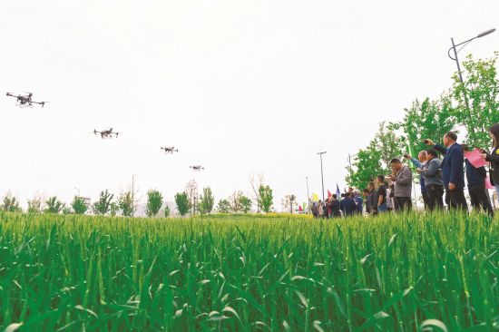 beaa8205-a373-46fd-b2f0-970fb610189d