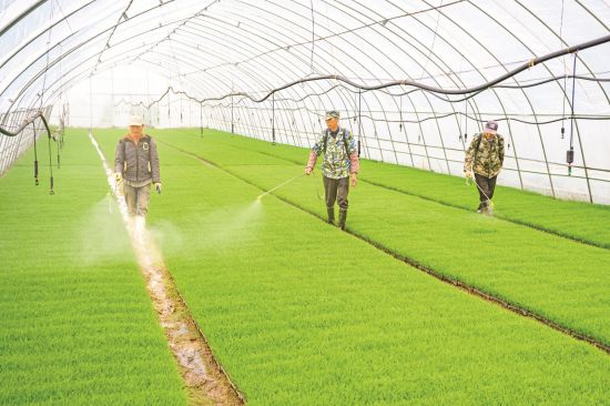 cccacd96-4a5f-4850-876c-8b694f0e538c