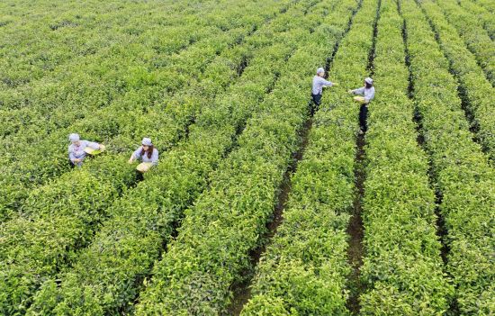 407f5457-1a3b-4ee1-9276-c379b30d69e4