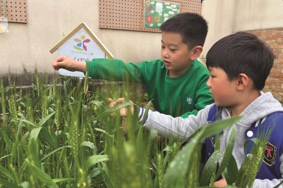 354fac82-8350-4b0e-8548-7a3a8b25a7cf