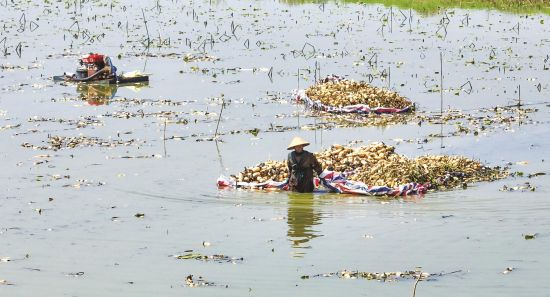 34a816dc-d8d6-4335-8fa1-acffe61d2c2a