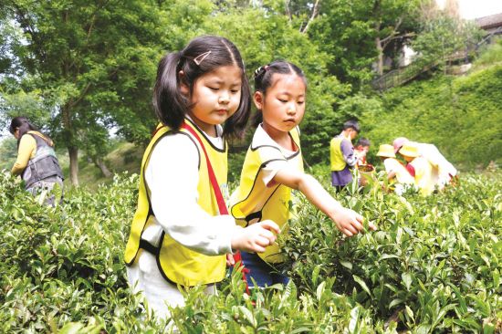 f6fe9b2c-e03a-4bb5-9cb6-bdbbdd752bb5