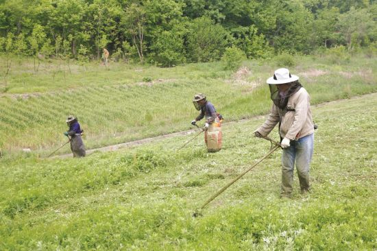 4be39105-3661-4ea2-ac87-0a5aec985fea