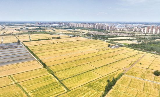 1f5f3284-7b1a-4838-8521-ca9206e1ebe5