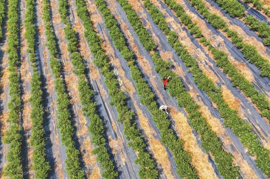 edcdd58e-5de8-403b-993f-63b3a3517a41