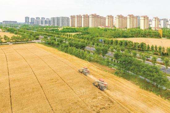 0ccc6251-48b7-456e-ad66-5438a855e23f