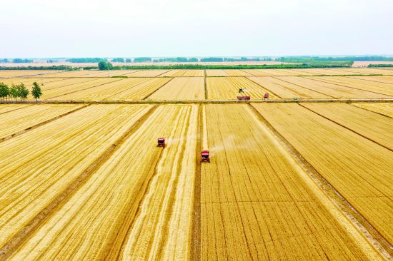 微信图片_20240605145024(2778211)-20240606085434