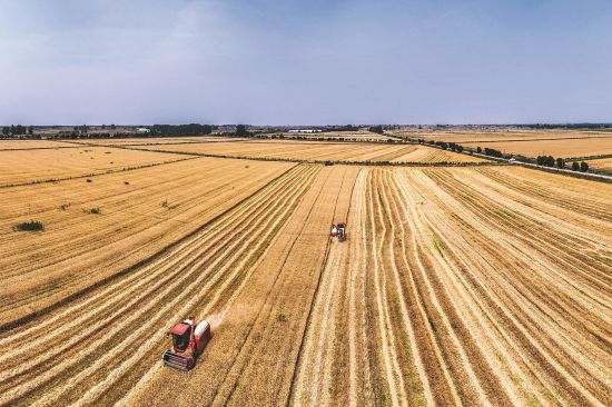 3f03525a-0906-4f0e-a94d-5287adee00ba