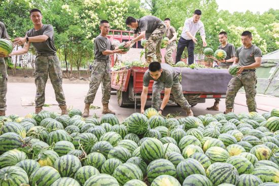 d16e05e3-8844-4b22-9647-662546b5050c