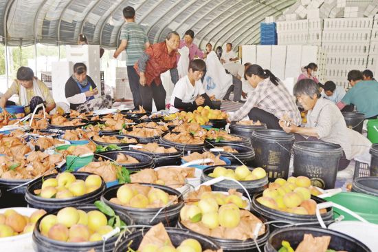 dad19ce6-0a31-4fd0-9704-dc2eb1273aed