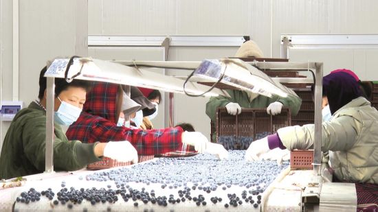 b53e1b0d-e159-4f8e-b1cc-a7c520a3018d