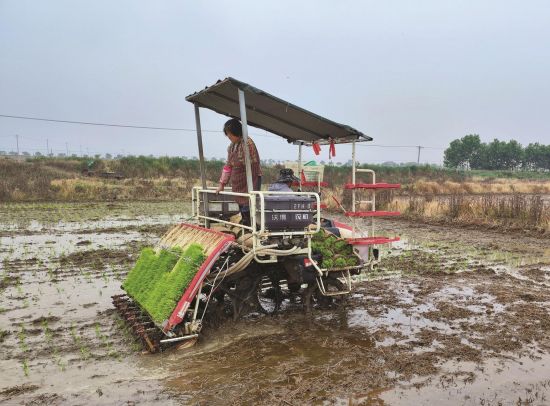 8bbef4c7-b9e9-4ef6-a46d-e5edbe049e6f