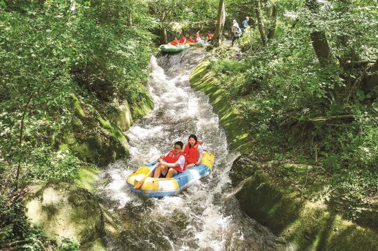 77d08e29-a3f6-4eb5-a528-4d33f361a093