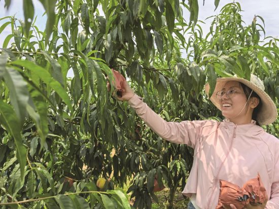 687365db-80f1-457a-ace0-c6bdf83260a7