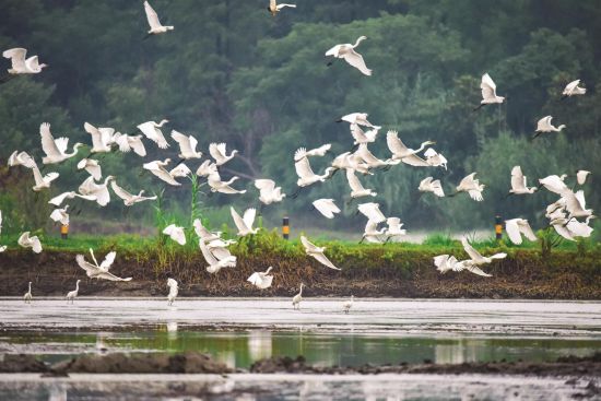 48658a46-8007-4d8f-9de2-17904bf41efe