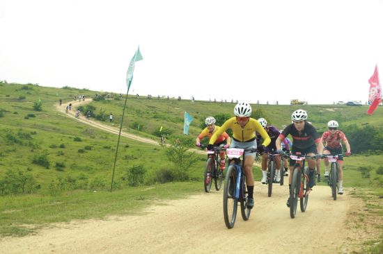 d2663a8a-6e9e-479a-a766-5747c8d7faf1