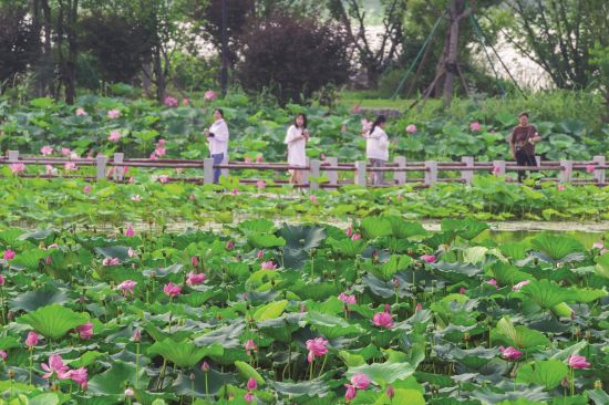 a772fa63-5d10-4b33-b128-518c4ac00b42