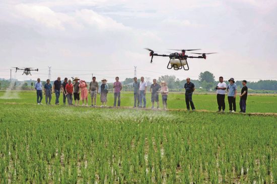 e9ed41d5-31ab-4c80-a4f7-e8a6459e6d30