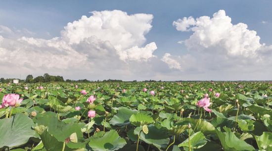 92472cb7-d736-4cd3-98a4-592f8cf2fdeb