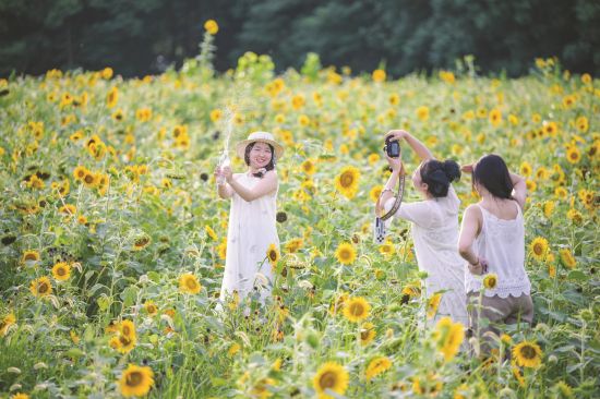 586bd6b4-0106-4c80-8502-0f5e38bedc68