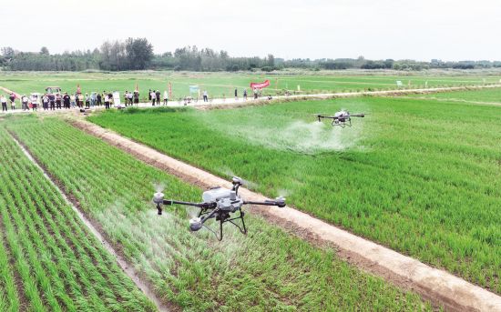 31b49d10-5ad8-4eb5-9ba2-11e6bc40ec8f