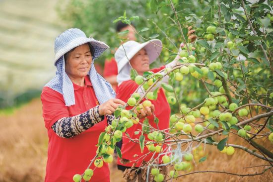 394c84b4-b15e-463b-b588-bbf98b473313