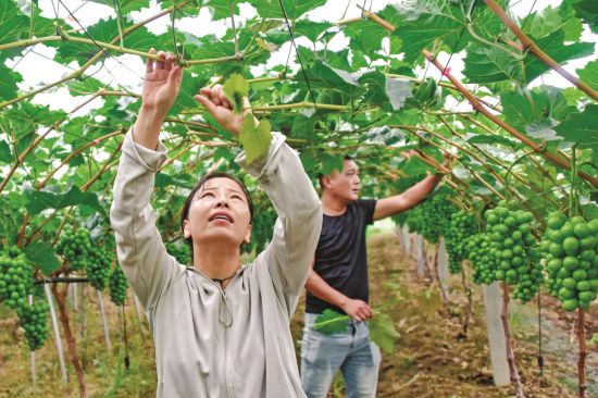 e5ebcf7c-2686-4212-8fee-74167fe5518e