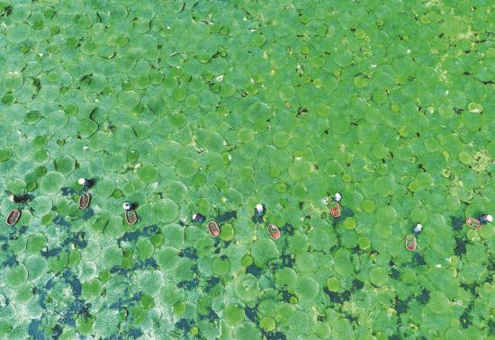 27bfb6e4-ee9f-4842-b12d-1e72bd3b8582