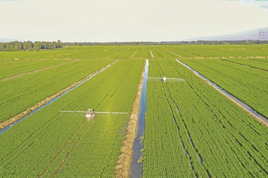 47cd12db-65c0-4ca4-8ada-a79c67cc85d2