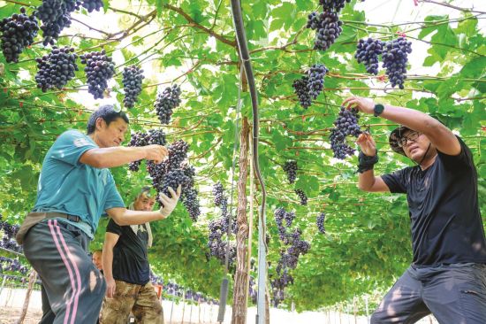 b818dbb8-4e8d-4e51-8004-fe4c52a46c5a