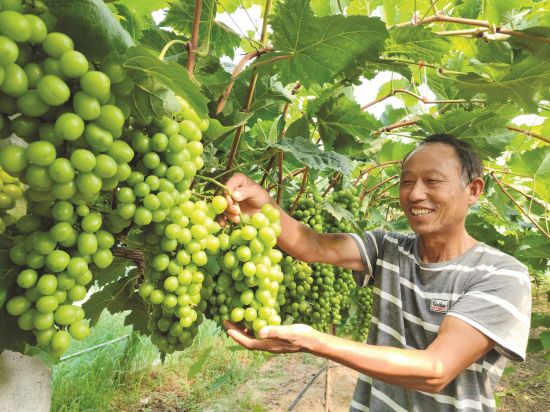 1c1c5f17-7c6c-4400-9a48-235d11620a4c