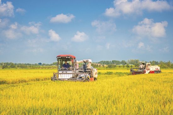 db2fd5ef-cda5-4a64-a93e-e008b2832010