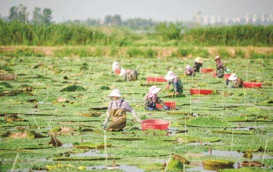 d7ca0bfd-964d-4a6a-9713-4dbd24c10e63