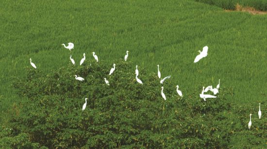 3bb64a9b-242a-4cea-a9a8-f60c8a54da91