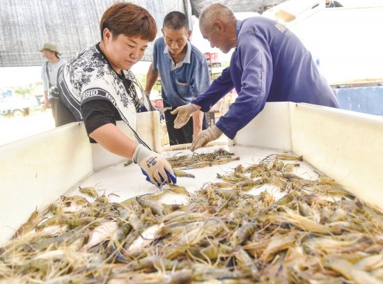 fe61366e-d33c-4492-8bf9-f019c6530572