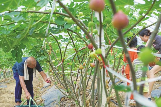 f53f51a5-fec0-42ac-a8e5-6b35b25ac38a