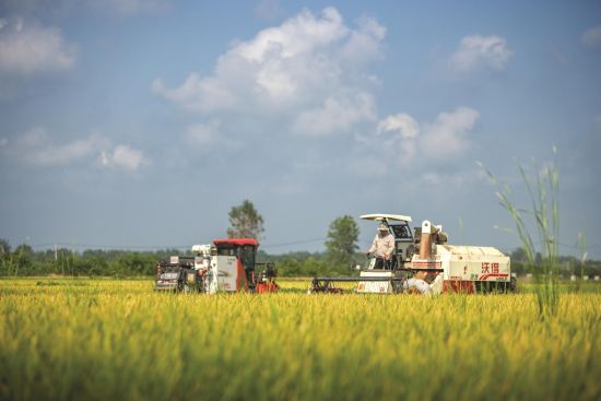 e21e48da-c91b-44aa-ac76-25e7b559c150