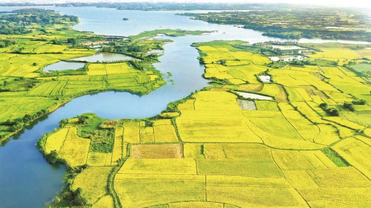 金秋九月 处处“丰”景